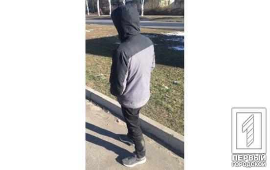 В Кривом Роге полицейские задержали мужчину, который незаконно пилил древесину