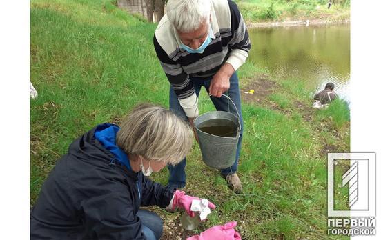 Экологи Кривого Рога отобрали пробы воды из Саксагани в трёх местах появления стоков