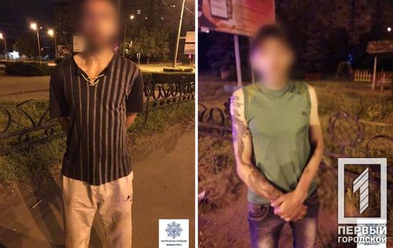 В Кривом Роге патрульные задержали мужчин, которые могут быть причастны к разбойному нападению