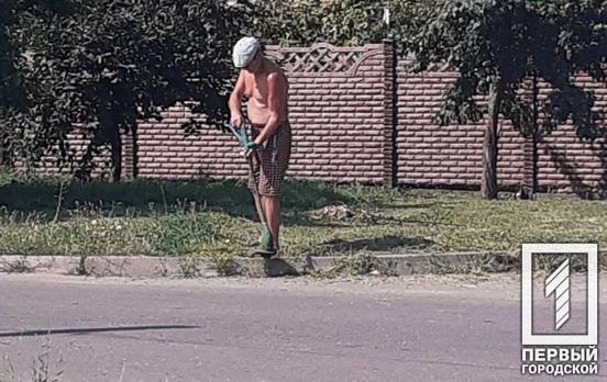 300 предупреждений: в Кривом Роге провели рейд по борьбе с растениями-аллергенами