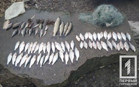 За минувший год на Днепропетровщине раскрыли более 4 000 правонарушений, связанных с браконьерством