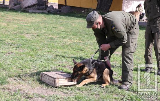 В Кривом Роге провели сборы кинологов 21-й отдельной бригады