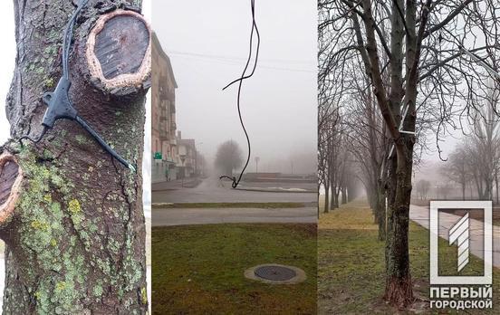 В Кривом Роге вандал повредил иллюминацию на аллее 200 каштанов