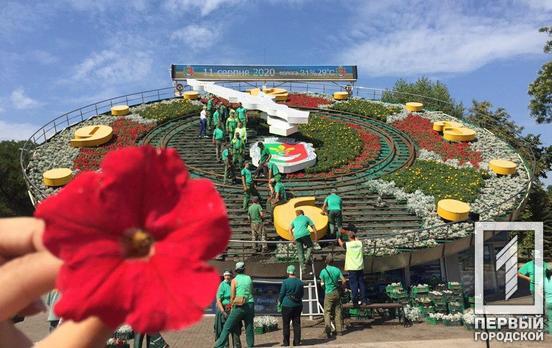 Тагетис, петуния, цинерария: в Кривом Роге цветочные часы поменяют убранство