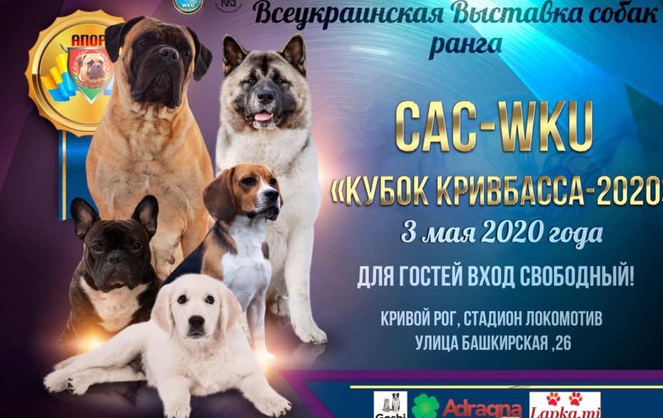 Выставка собак "Кубок Кривбасса - 2020"