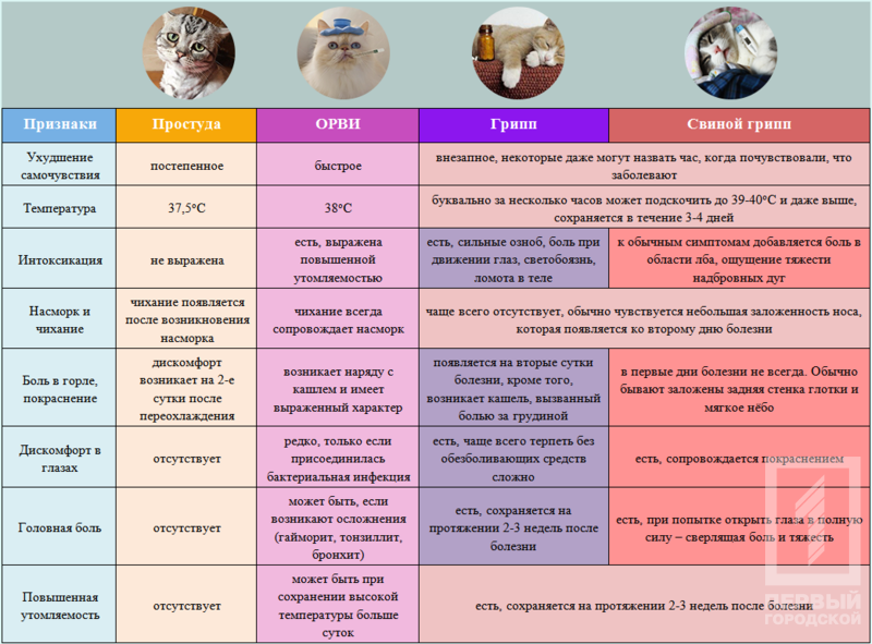%d0%b3%d1%80%d0%b8%d0%bf%d0%bf %d0%b8%d0%bd%d1%84%d0%be%d0%b3%d1%80