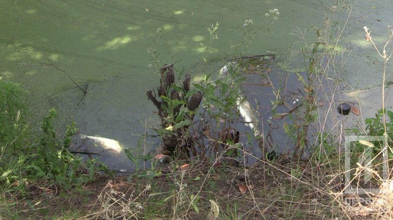 Photo 2017 08 03 18 45 33