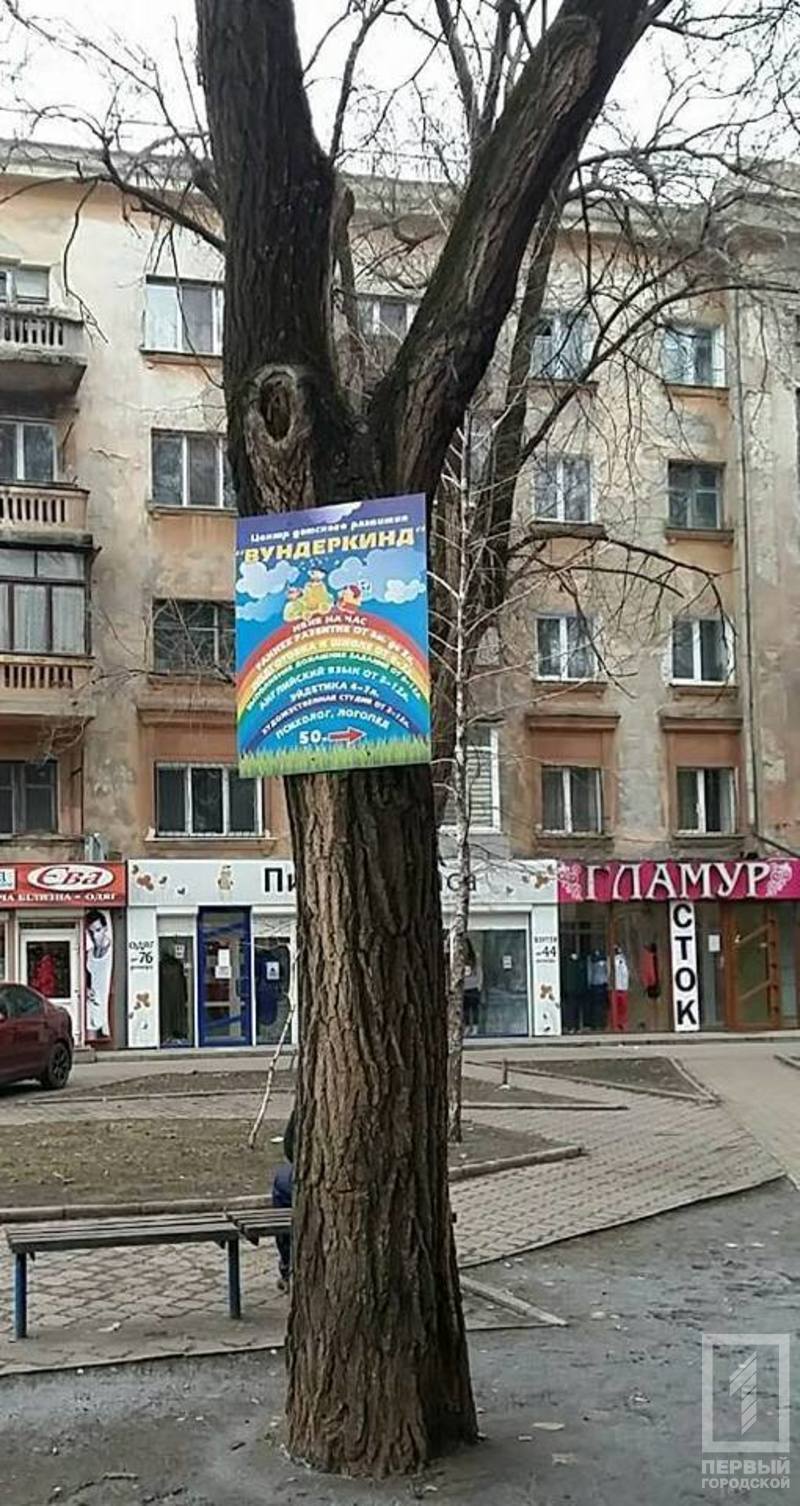 27657927 189200501680506 6550245830005222821 n