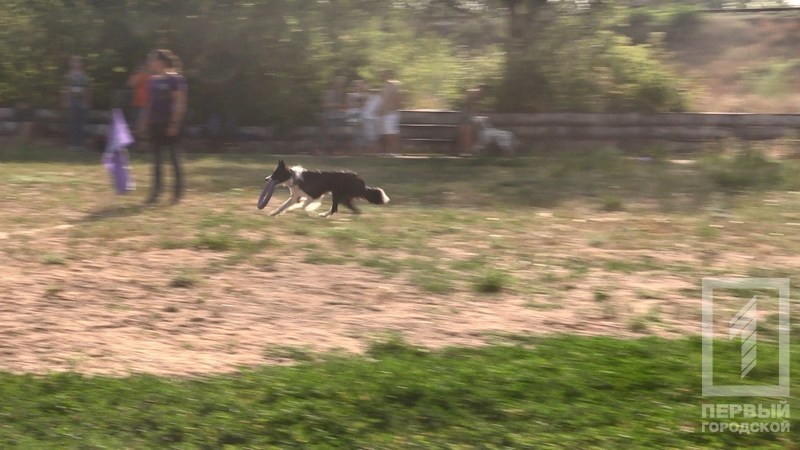 %d0%bf%d1%91%d1%81%d0%b8%d0%ba%d0%b84